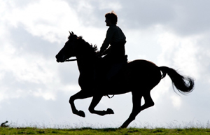 ���� ���